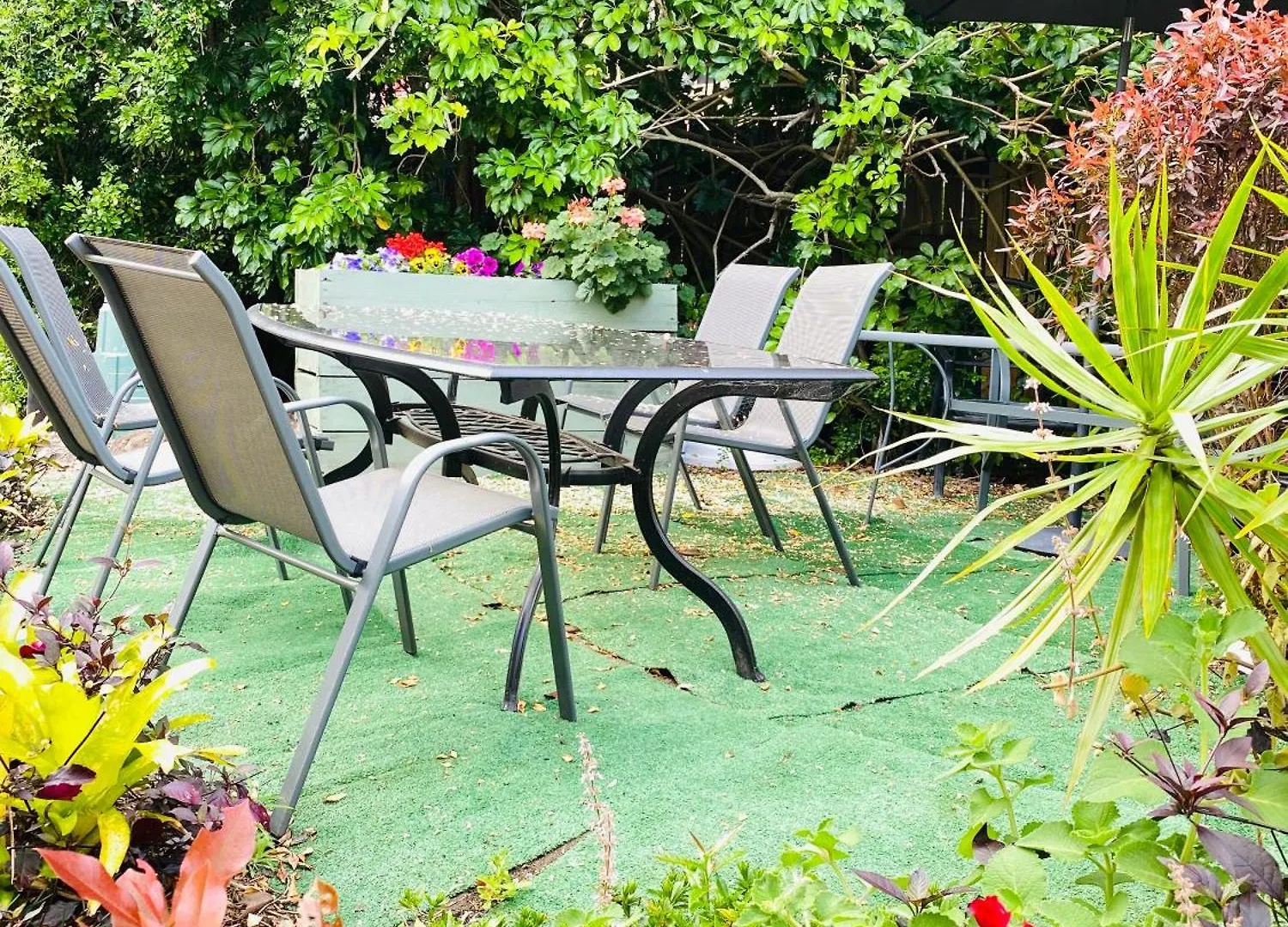 Homestay Garden Retreat Sunnybank Hills Apartment Brisbane