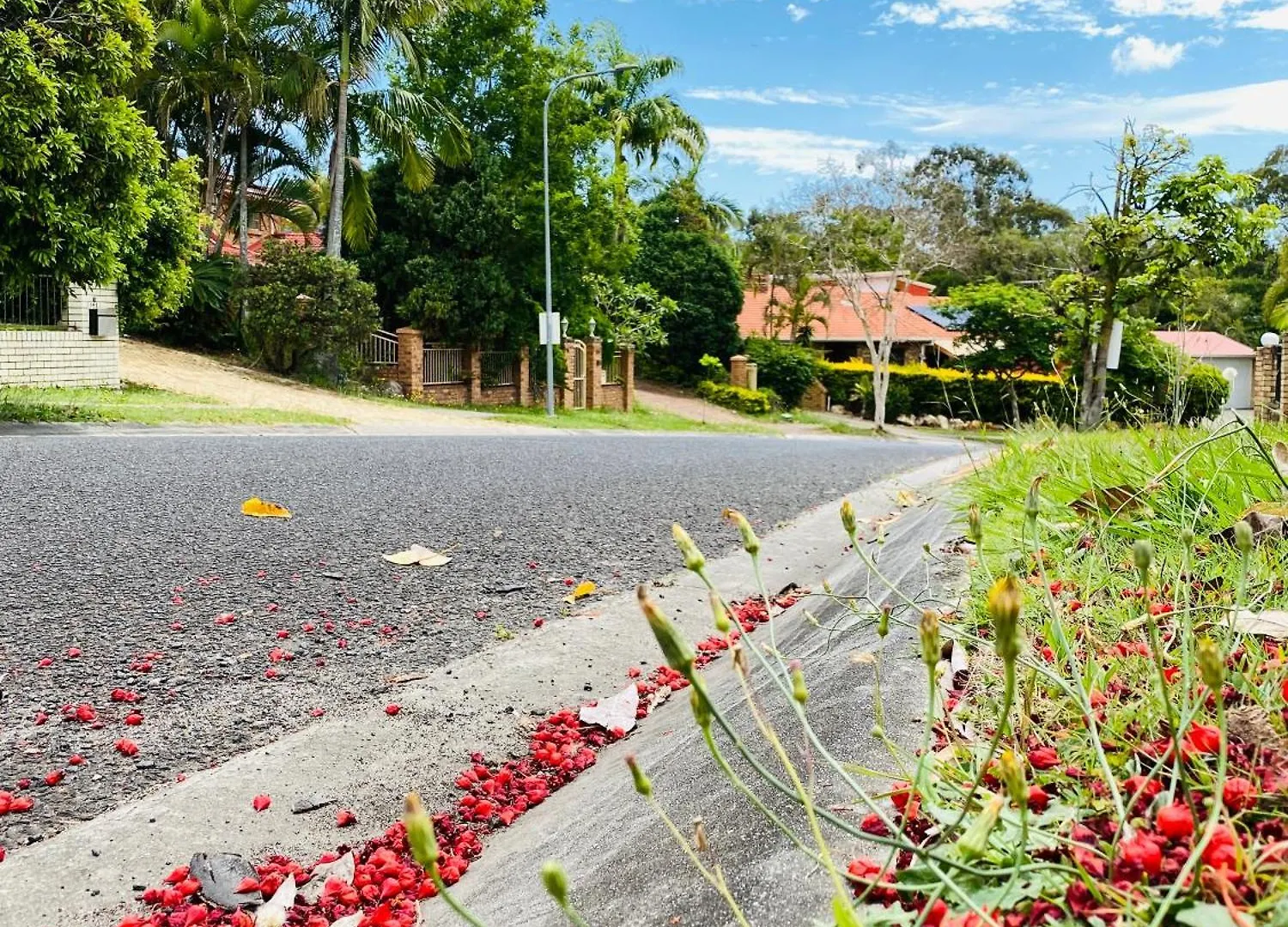 Homestay Garden Retreat Sunnybank Hills Apartment Brisbane