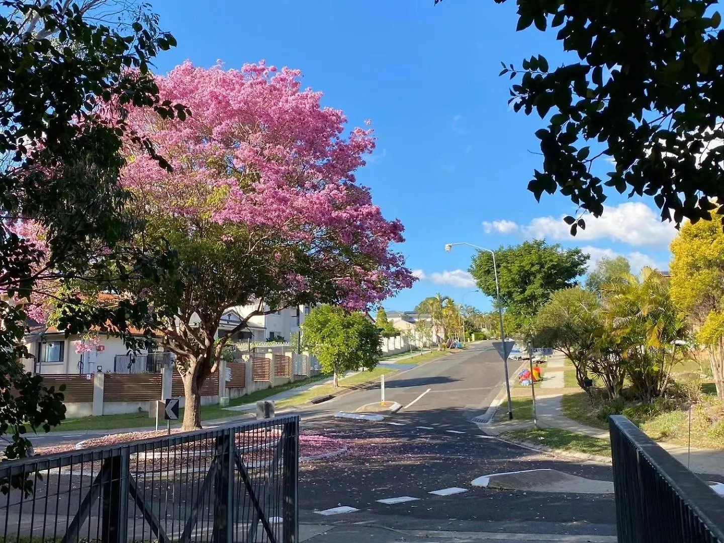 Homestay Garden Retreat Sunnybank Hills Apartment Brisbane Australia